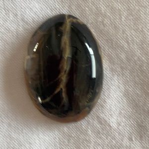 Cabochon petrified wood